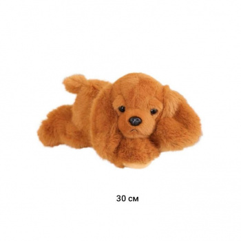 им Собака арт. 18632-2-209 Спаниель коричневый 30 см в пак. им Собака арт. 18632-2-209 Спаниель коричневый 30 см в пак.