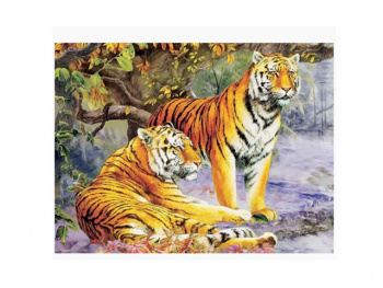 Картина по номерам арт. RAS20857 Пара тигров 20*30 в кор.