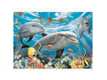 Картина по номерам арт. RA74135 Подводный мир 40*50 в кор.